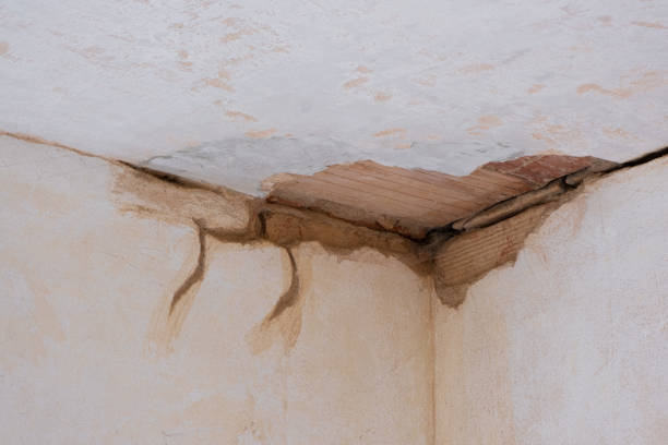 Best Ceiling water damage repair  in Macom, IL