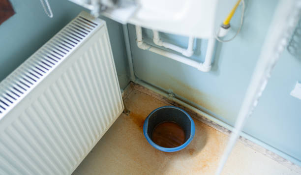 Best Flood restoration services  in Macom, IL