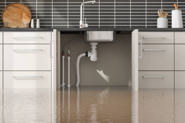 Best Water damage cleanup near me  in Macom, IL