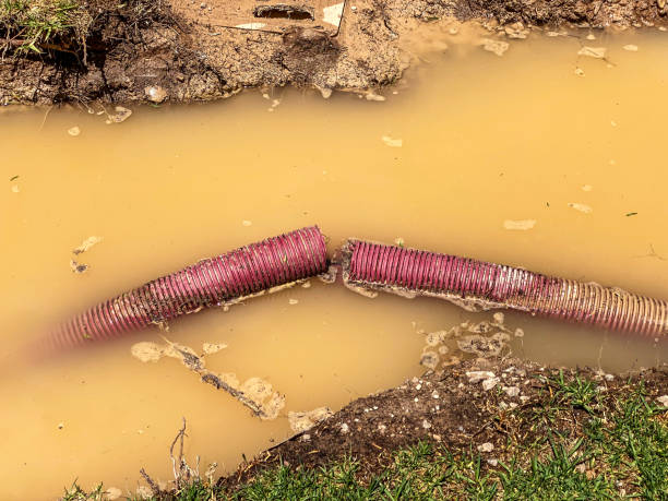Best Basement water damage restoration  in Macom, IL